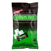 Freshn Free Root Mint, 100 gm