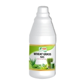 Shri chyawan Wheat Grass Ras -500 ml Fights Skin InfectionsImproves overall Metabolism-Shri chyawan Wheat Grass Ras -500 ml |Fights Skin Infections|Improves overall Metabolism|