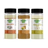 Natures Gift - 250 gm Onion Powder (Pack of 3)