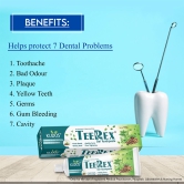 Kudos Teerex Gel Toothpaste Ayurvedic Formulation Multi Benefit Toothpaste | 100G | (Pack of 2)