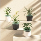 Urbane Home Flower Planter Pots, Indoor/Outdoor, Self-Watering, Pack of 4, Multi.-Urbane Home Flower Planter Pots | Indoor/Outdoor | Self Watering | Pack of 4 | Multi