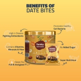 Farmley Premium Date Bites Dry Fruit Barfi Healthy and Delicious Indian Sweets Gift Pack 200 gram | Made with Dates, Pistachios, Cashewnuts, Almonds, Honey and Pure Ghee