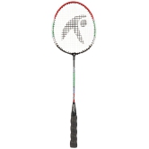 Hipkoo Sports Badminton Raquet Assorted