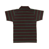 NeuVin Cotton Polo Tshirts for Boys - None