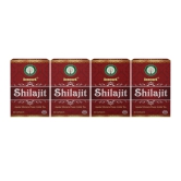 DEEMARK Shilajit Capsules (30*4) Improve Sex Power & Stamina Naturally for Best Performance. Balances Testosterone & Increase Libido. (Pack of 4)