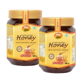 ANP BEE 100% Pure NMR Tested Honey Raw Natural Honey 500 g Pack of 2