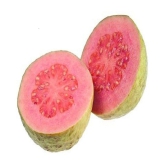 Red guava plan seeds with cocopeat 100 seeds