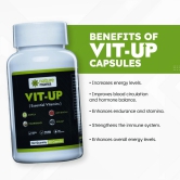 Nature Mania Vit-up Capsule (Vit D and Vit B12 Multivitamin) - 60 Capsules