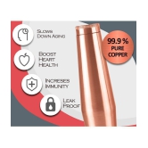 Milton Copper Crown 1100 Water Bottle, 1 Piece, 1.09 Litre, Copper | 100% Leak Proof | Office Bottle | Gym Bottle | Yoga Bottle | Home | Kitchen | Hiking | Treking Bottle | Travel Bottle - C