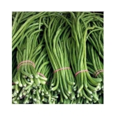 Lobia Hybrid Green Long Beans ( 25 Seeds ) - Lobia ka beej