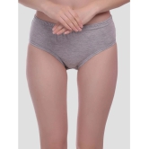 Elina - Grey Cotton Solid Womens Briefs ( Pack of 3 ) - None