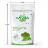 Nature''s Gift - 100 gm Mint Powder (Pack of 1)