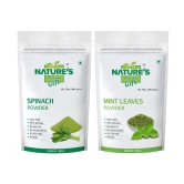 Natures Gift Spinach Powder, Coriander Powder, Curry Powder & Mint Powder - 100 GM Each Powder 100 gm Pack of 4