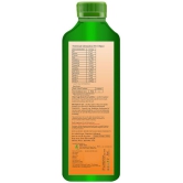 Sea Buckthorne sugar free Juice Pack of 2 - 500ml