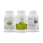 GOLDENACACIA HERRBALS Amla 100 Powder 1 gm