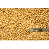 Korralu/ Foxtail Millet