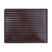 HAMT Leather Brown Casual Regular Wallet - Brown