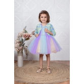 Childbird Multicolor Net Kids Party Dress With Flower Jacket-12-18 Month