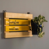 Sunshine Board with Antiquity Planter