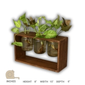 Barish Home DECORS - Table Top Planter 3 Jars | Wooden Planter with 3 Mason Jar | Handcrafted with Rubberwood | Table Top Planters for Indoor Decoration | 21 x 38 x 13 cms (H x W x D)