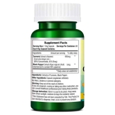 Morpheme Remedies Turmeric Curcumin 95% Curcuminoids-500mg Extract - Capsule 60 no.s