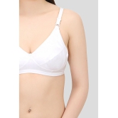 Elina - White Cotton Solid Womens Maternity Bra ( Pack of 1 ) - 34B