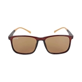 Creature - Brown Square Sunglasses ( Pack of 1 ) - Medium