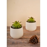 Essential White Planter