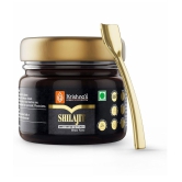 Krishna's Herbal & Ayurveda Shilajit 30g