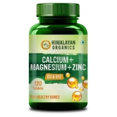 Himalayan Organics Calcium Magnesium Zinc Vitamin D3 & B12- 120 Vegetarian Tablets