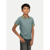 Radprix Green Cotton Blend Boys Polo T-Shirt ( Pack of 1 ) - None