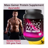 Nutriley Amino Mass Whey Protein ( 500 gm , Banana - Flavour )