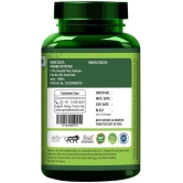 Agniveda Naturals Plant-Based Hair Vitamins Biotin, Dht Blocker, Promotes Hair Growth - 60 Veg Caps