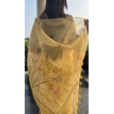 Organza saree