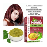 Kayamaya 100% Organic Indigo Powder Herbal Henna Mehendi Powder Organic Henna 100 g Pack of 2