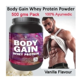 Nutriley Body Gain Whey Protein ( 500 gm , Vanilla - Flavour )