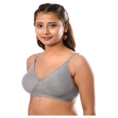 Elina Cotton T-Shirt Bra - Grey Single - 32C