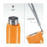 Milton Handy 650 Stainless Steel Water Bottle(690 ml) Orange - Orange