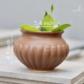 Brown Kalash Planter-Single