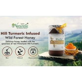 Farm Naturelle - Pure Turmeric Infused in Forest Honey |1.45kg and a Wooden Spoon | Raw Unprocessed Delicious and Ant-oxidant Honey | 100% Pure & Natural Ingredients Honey.