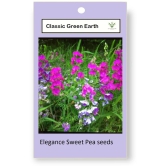 CLASSIC GREEN EARTH - Magnif Flower ( 15 Seeds )