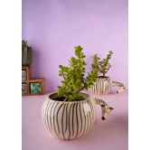 Zebra Planter