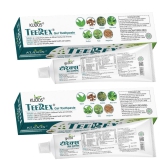 Kudos Teerex Gel Toothpaste Ayurvedic Formulation Multi Benefit Toothpaste | 100G | (Pack of 2)