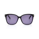 Violet Wayfarer Sunglasses for Women