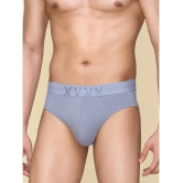 XYXX - Light Grey Cotton Mens Briefs ( Pack of 1 ) - None