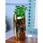 Golden Serenity - Face Design Artificial Plant with Pot