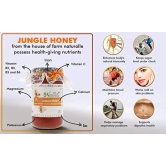 Farm Naturelle-Jungle Flower Wild Forest Honey | 100% Pure Honey |1000g+150g Extra and a Wooden Spoon | Raw Natural Unprocessed Honey - Un-Heated Honey | Lab Tested Honey in Glass Bottle.