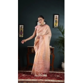 Organza saree