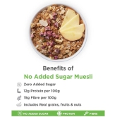 True Elements No Added Sugar Muesli 400 gm