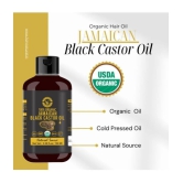 Holy Natural Hair Growth Castor Oil 100 ml ( Pack of 1 )